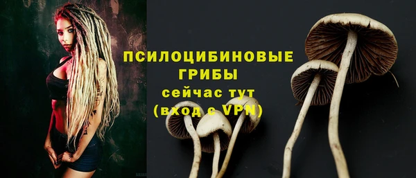 тгк Надым