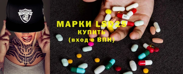 стаф Бикин