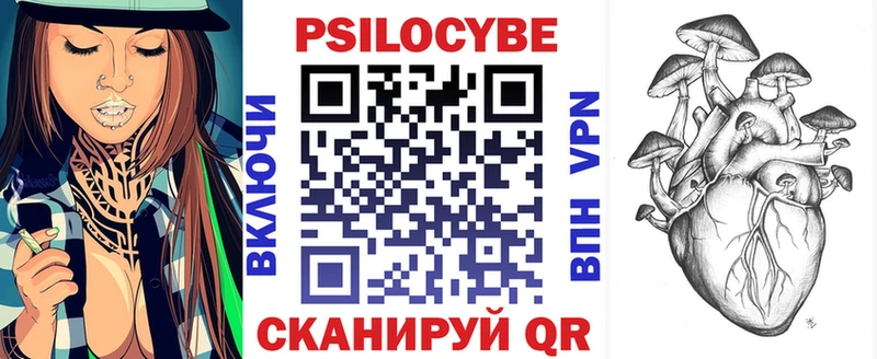 Псилоцибиновые грибы GOLDEN TEACHER  цена наркотик  Поворино 